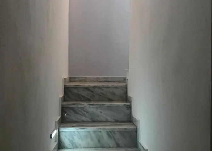 Bacchus 4* 니키티