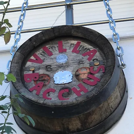 Bacchus Guest house